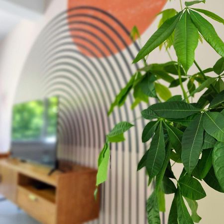 Le Rainbow - Grand Studio Avec Terrasse ダンケルク エクステリア 写真
